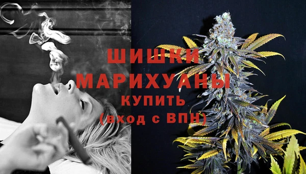 твердый Бородино