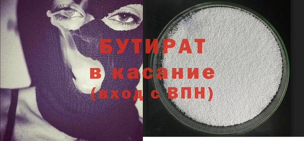 твердый Бородино