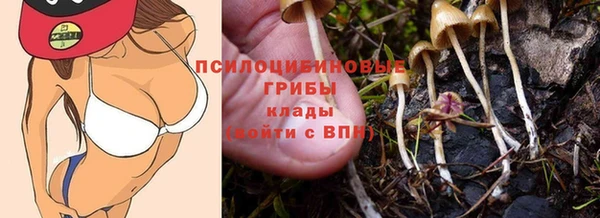 ПСИЛОЦИБИНОВЫЕ ГРИБЫ Богородицк