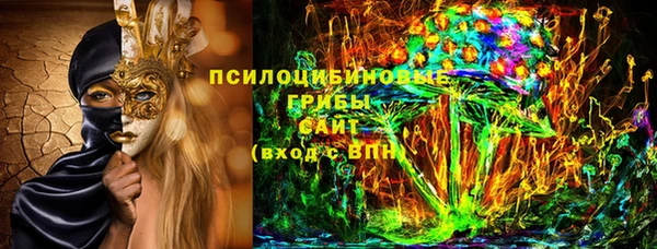 твердый Бородино