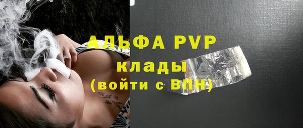 твердый Бородино