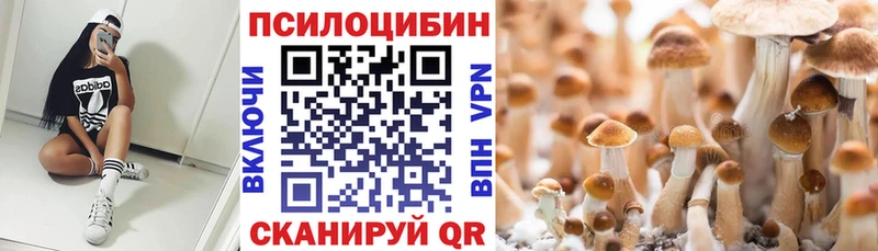 закладка  Бирюсинск  KRAKEN онион  Галлюциногенные грибы прущие грибы 